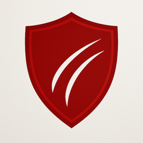 About us dragon shield roofing