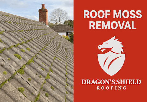 How Much Does Roof Moss Removal Cost in South Wales