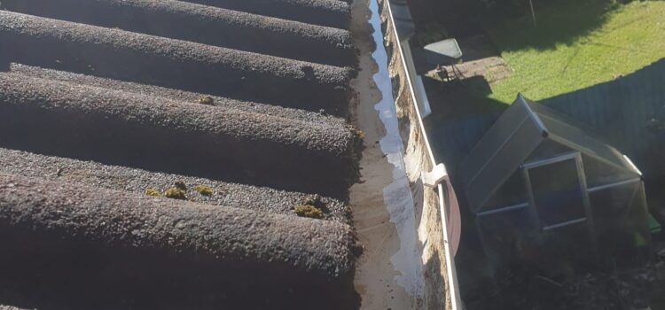 gutter cleaning cardiff