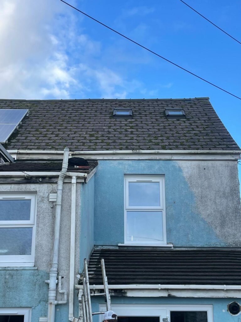 moss removal cardiff