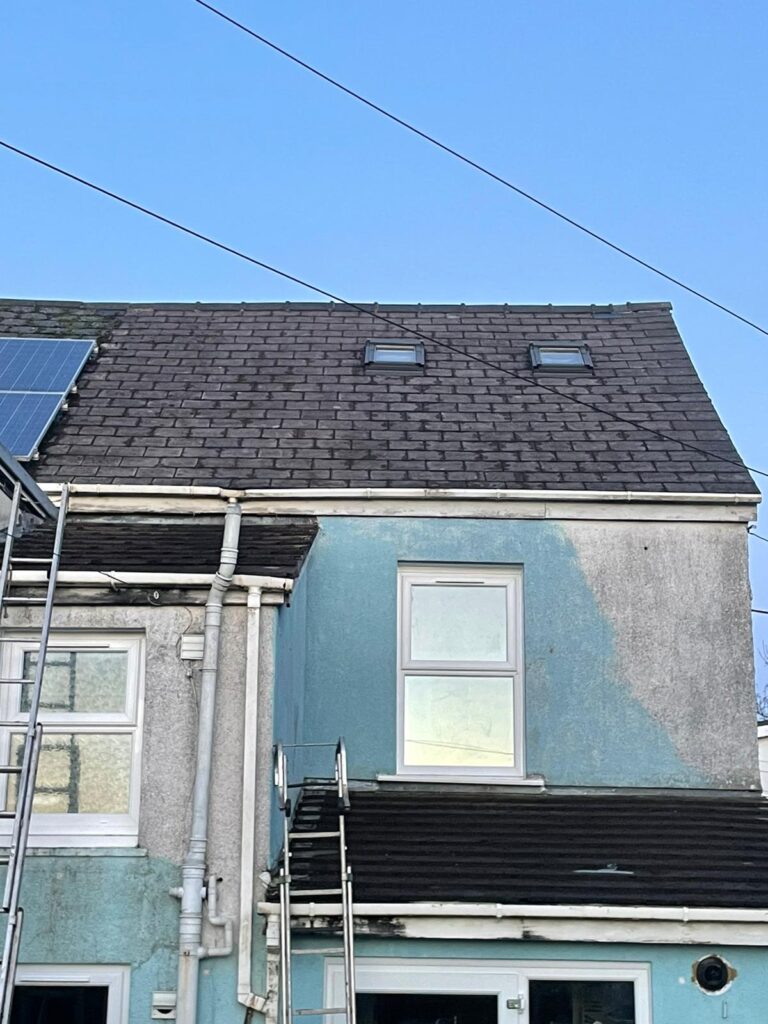 moss removal cardiff