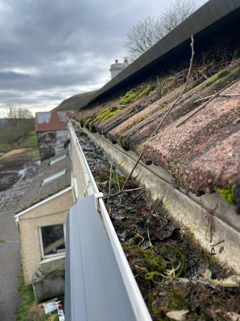 gutter cleaning in Cardiff