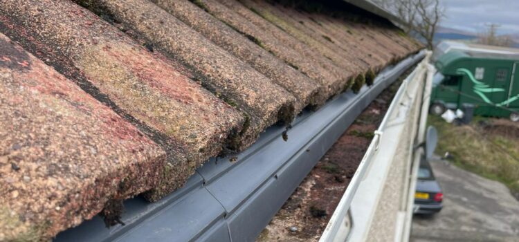 gutter cleaning cardiff